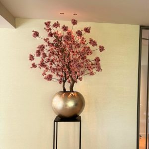 Bloesemboom Old Pink S