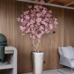 Bloesemboom Old Pink M