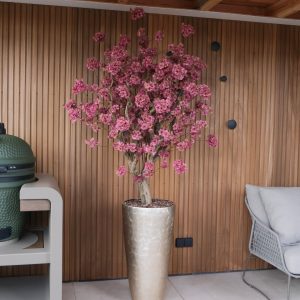 Bloesemboom Burgundy M