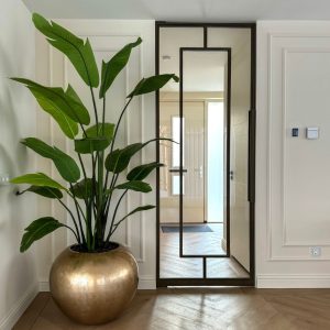 Strelitzia Light Gold