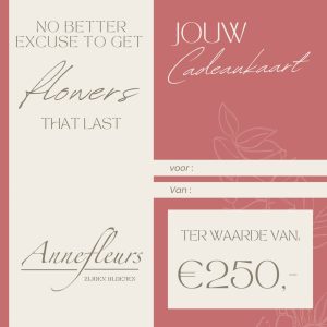 Cadeaubon €250