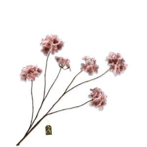 Hortensia tak old pink M