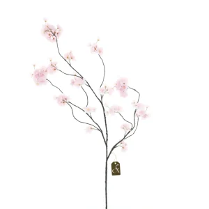 Soft Pink bloesem tak