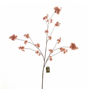 Old Pink bloesem tak