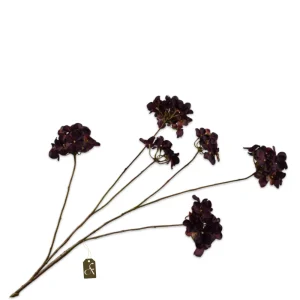 Hortensia tak burgundy M