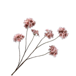 Hortensia tak old pink M
