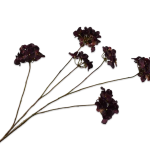 Hortensia tak burgundy M