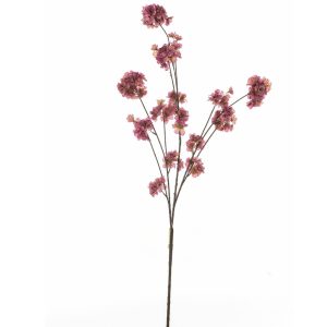 Burgundy bloesem tak