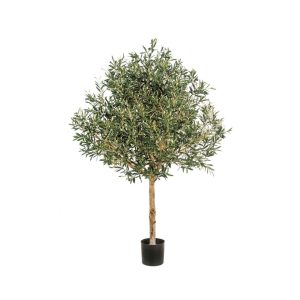Annefleur's Olijboom Natural 180 cm
