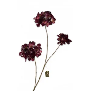 Hortensia tak burgundy S