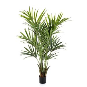Annefleur's Palm Grof 180 cm