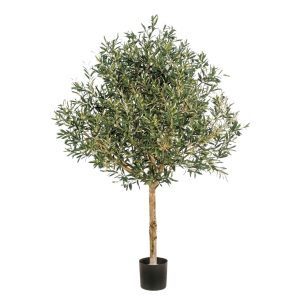 Annefleur's Olijboom Natural 210 cm