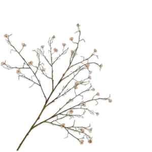 Peach bloesem tak