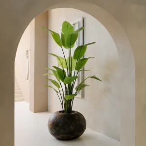 TerraNoir Vase met Strelizia