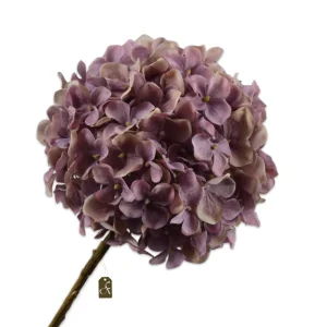 HORTENSIA STEEL LAVEND