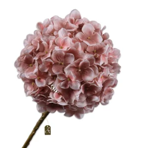 HORTENSIA STEEL MAUVE