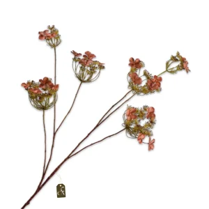 HORTENSIA TAK BRN LT M