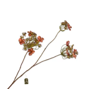 HORTENSIA TAK BRN LT S