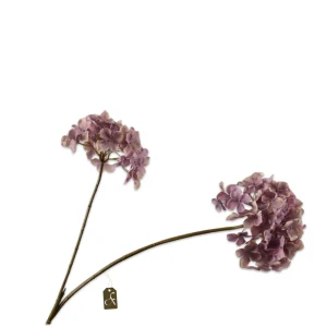 HORTENSIA TAK LAVEND