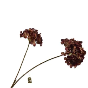 HORTENSIA TAK ROOD/BRUIN