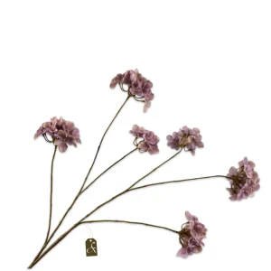 HORTENSIA TAK LAVEND MAAT L