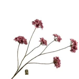 HORTENSIA TAK ROZE MAAT L