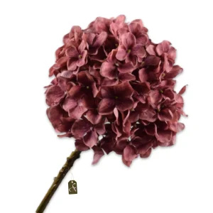 HORTENSIA STEEL ROZE