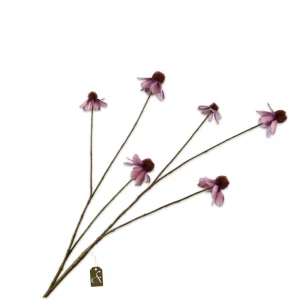 RUDBECKIA TAK LAVEND
