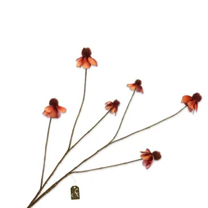 RUDBECKIA TAK ORANJE