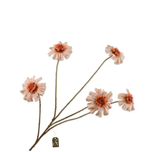 ZINNIA TAK PERZIK