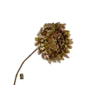 CHRYSANT TAK ROZ/GRN