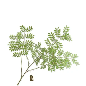 BLADTAK GROEN